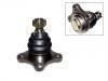 球头 Ball Joint:MB241818